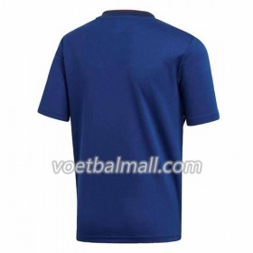 Goedkope Japan Thuisshirt WK voetbal 2018